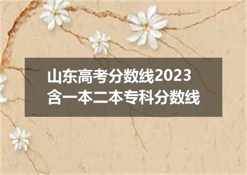 山东高考分数线2023含一本二本专科分数线