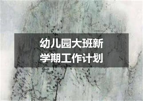幼儿园大班新学期工作计划