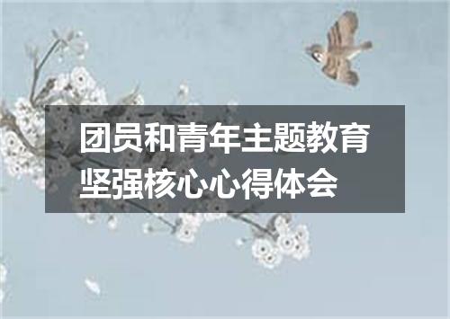 团员和青年主题教育坚强核心心得体会