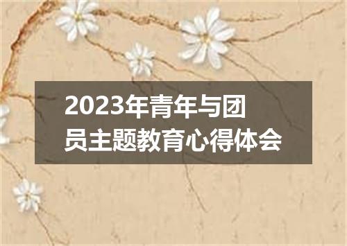 2023年青年与团员主题教育心得体会