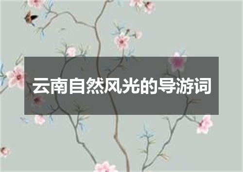 云南自然风光的导游词