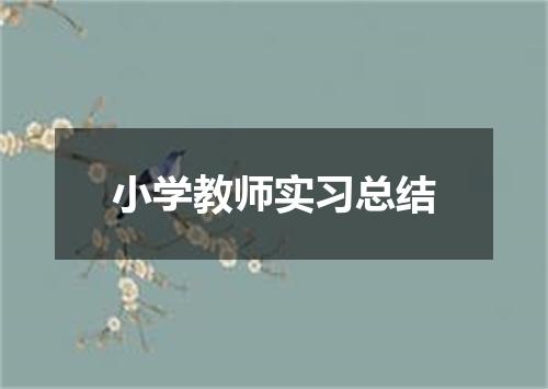 小学教师实习总结