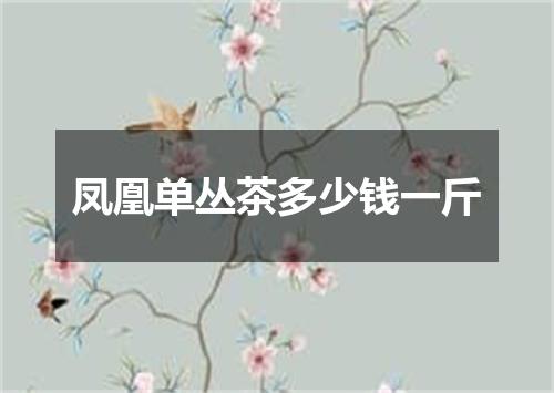 凤凰单丛茶多少钱一斤