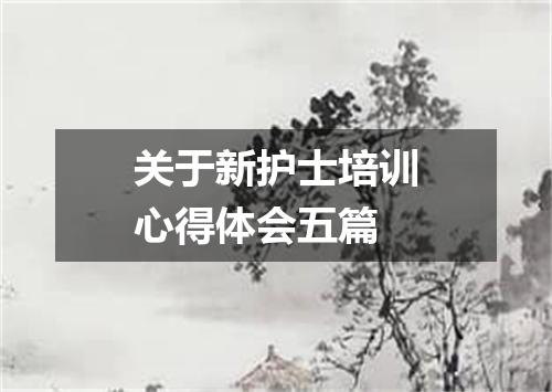 关于新护士培训心得体会五篇