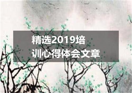 精选2019培训心得体会文章