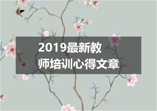 2019最新教师培训心得文章