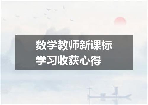 数学教师新课标学习收获心得