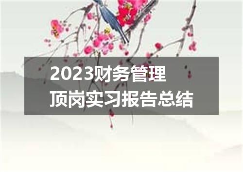 2023财务管理顶岗实习报告总结