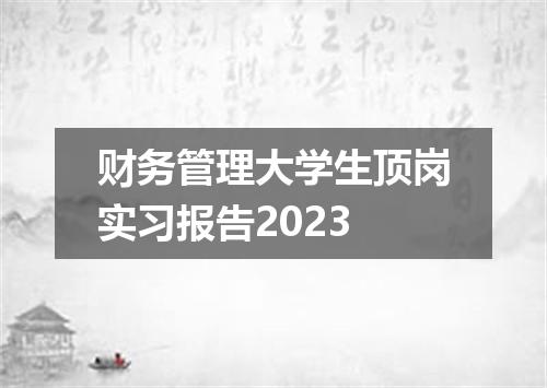 财务管理大学生顶岗实习报告2023