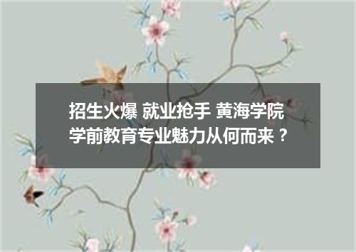 招生火爆 就业抢手 黄海学院学前教育专业魅力从何而来？