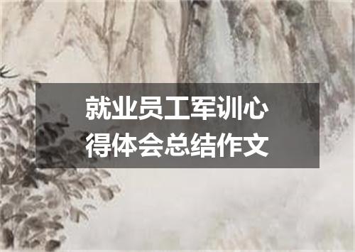 就业员工军训心得体会总结作文