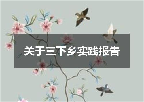 关于三下乡实践报告