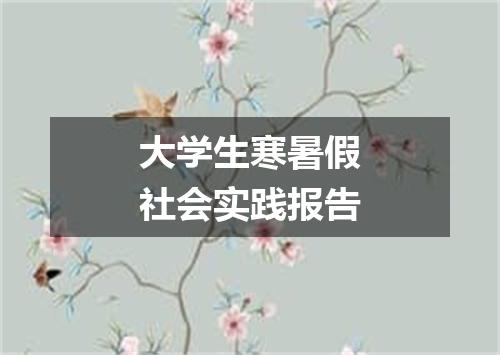 大学生寒暑假社会实践报告