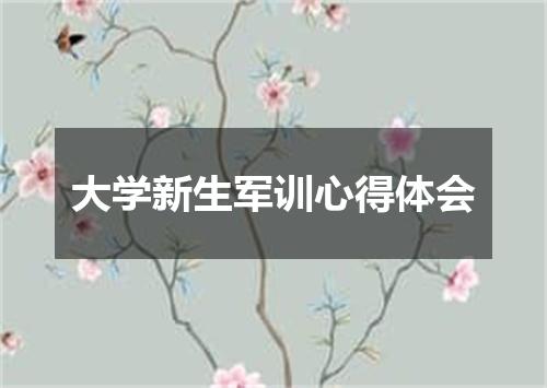 大学新生军训心得体会