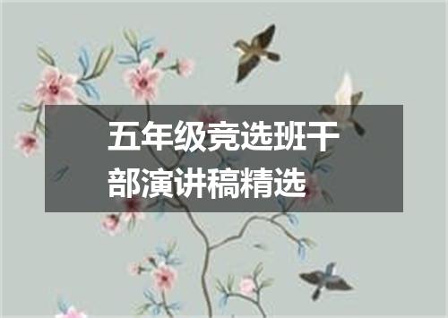 五年级竞选班干部演讲稿精选