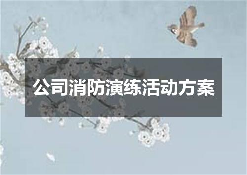 公司消防演练活动方案