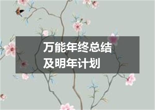 万能年终总结及明年计划