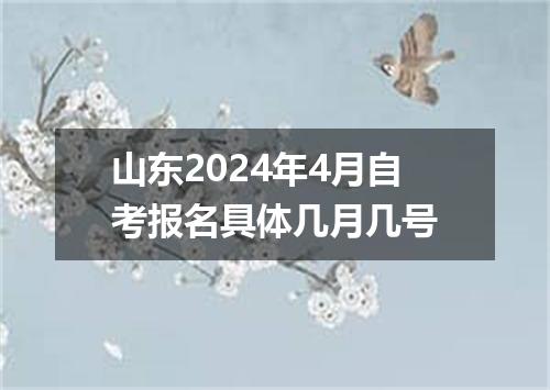 山东2024年4月自考报名具体几月几号