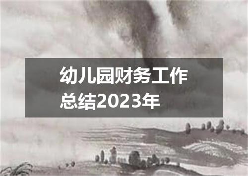 幼儿园财务工作总结2023年