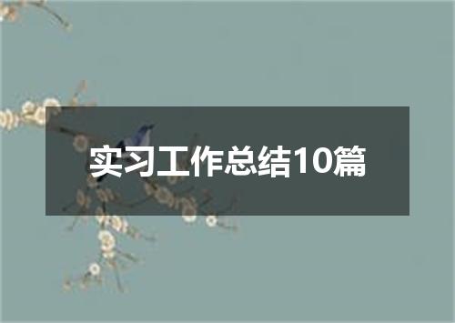 实习工作总结10篇
