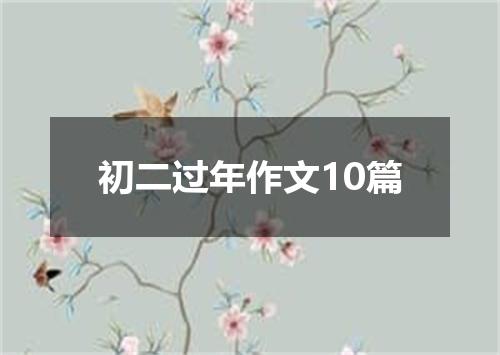 初二过年作文10篇