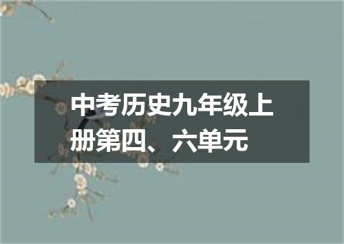中考历史九年级上册第四、六单元