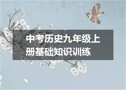 中考历史九年级上册基础知识训练