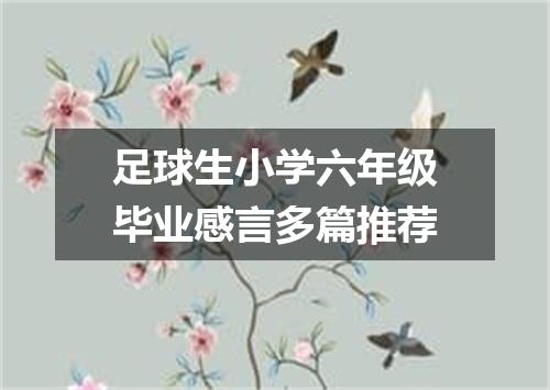 足球生小学六年级毕业感言多篇推荐