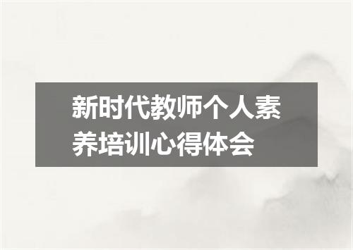 新时代教师个人素养培训心得体会