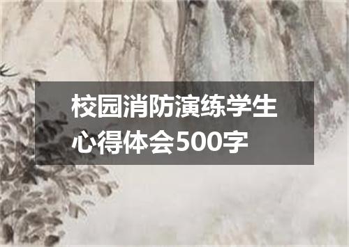 校园消防演练学生心得体会500字