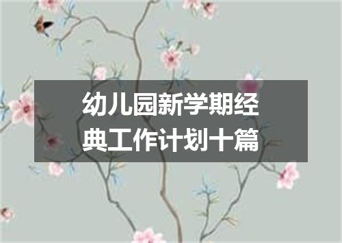 幼儿园新学期经典工作计划十篇