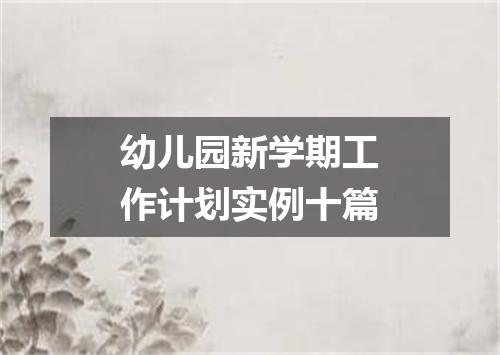 幼儿园新学期工作计划实例十篇