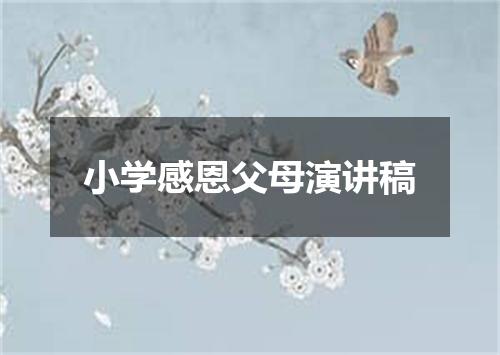 小学感恩父母演讲稿