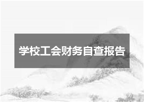 学校工会财务自查报告