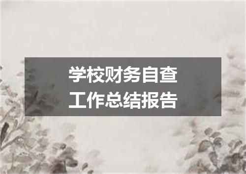 学校财务自查工作总结报告