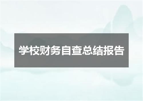 学校财务自查总结报告