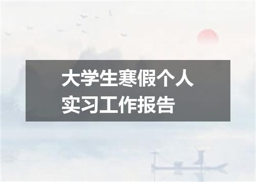 大学生寒假个人实习工作报告