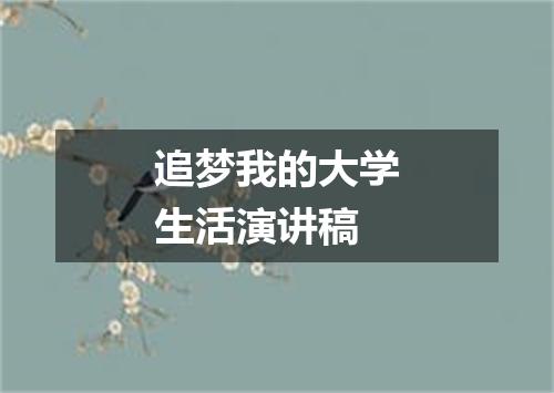 追梦我的大学生活演讲稿