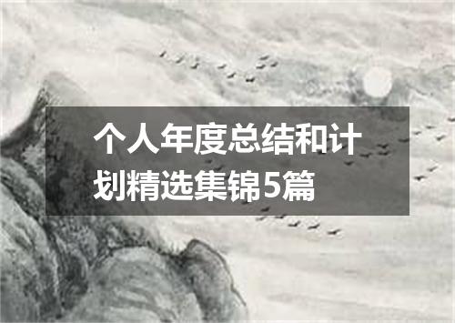 个人年度总结和计划精选集锦5篇
