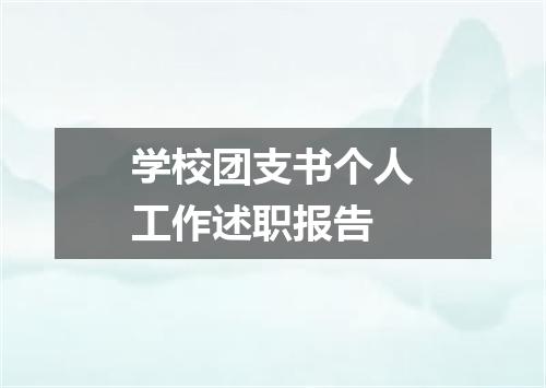 学校团支书个人工作述职报告