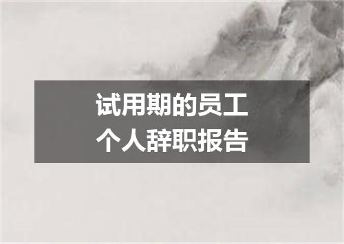 试用期的员工个人辞职报告