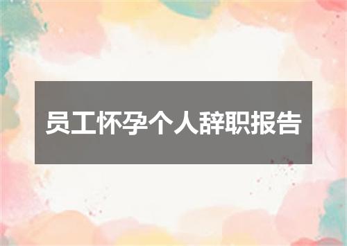 员工怀孕个人辞职报告