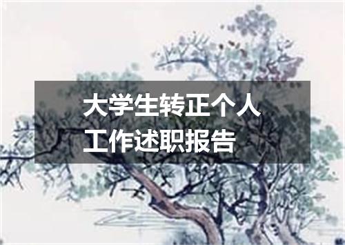 大学生转正个人工作述职报告