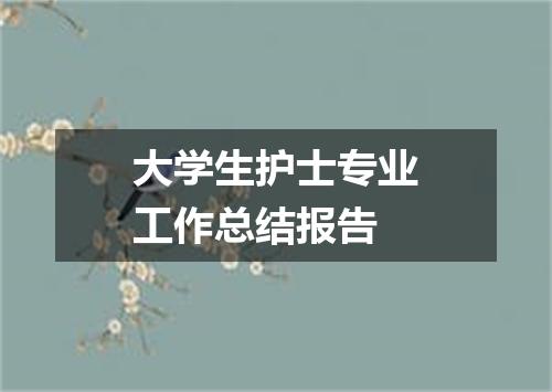 大学生护士专业工作总结报告