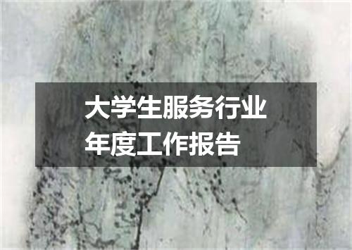 大学生服务行业年度工作报告
