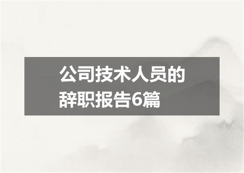 公司技术人员的辞职报告6篇