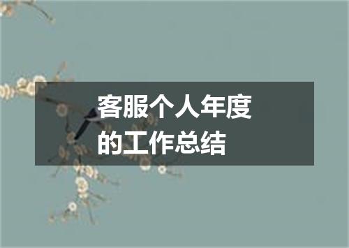 客服个人年度的工作总结