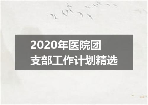 2020年医院团支部工作计划精选