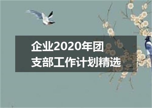 企业2020年团支部工作计划精选
