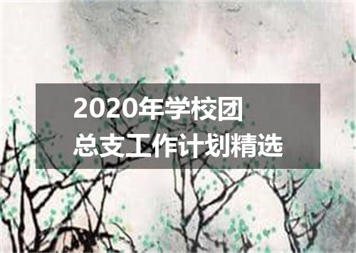 2020年学校团总支工作计划精选